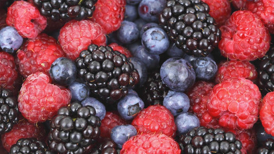 Antioxidantien